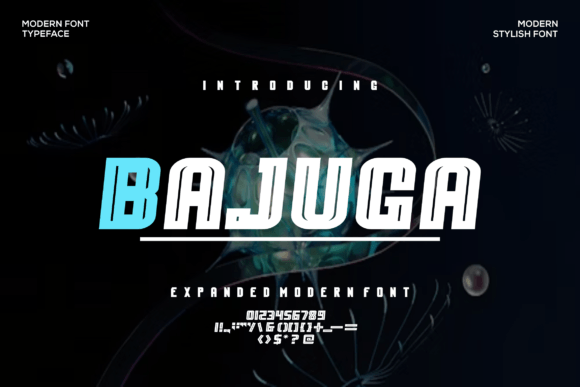 Bajuga: A Designer’s Honest Review